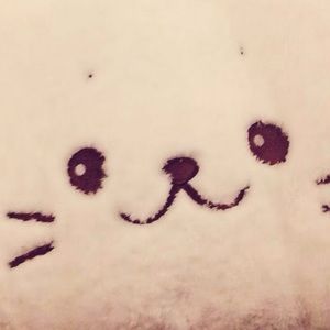 Meet your Posher, Soggy